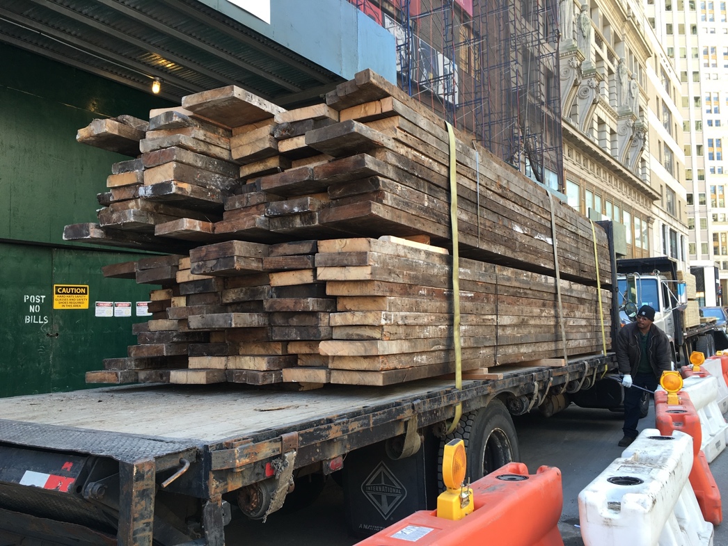 Preserving the Past and Seeking Clues to the Future in Urban Timber – State of the Planet