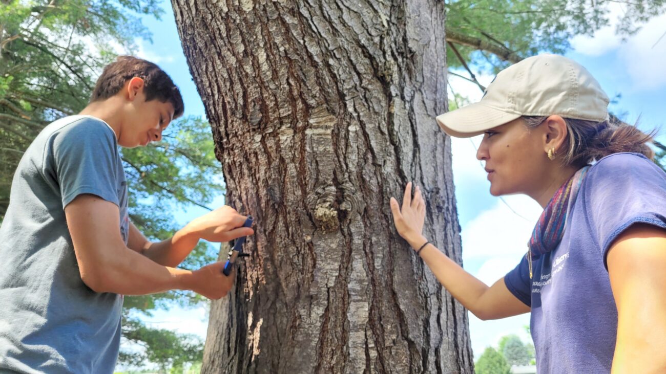 Temukan sesi Iklim Hidup K12 untuk Keadaan Planet 2025-2026