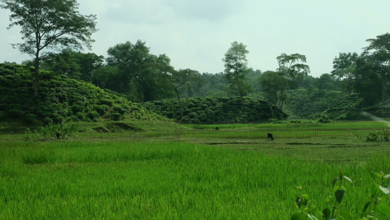 Memperbaiki sistem satelit navigasi global di negeri teh – keadaan planet ini