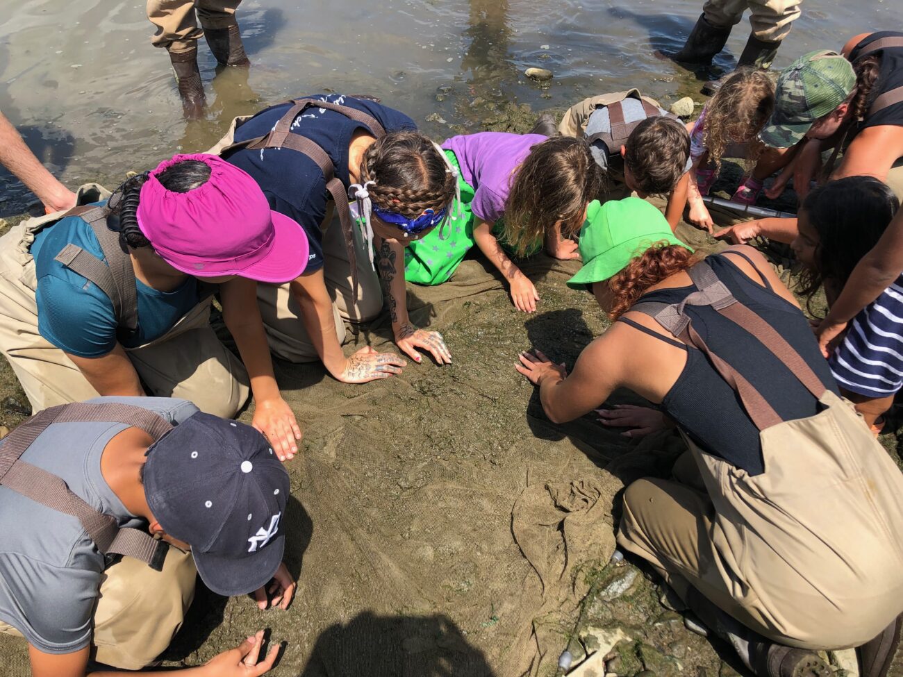 Bergabunglah bersama Kami pada tanggal 30 Mei untuk Merayakan Hari Migrasi Ikan Sedunia di Sungai Hudson – Keadaan Planet Ini