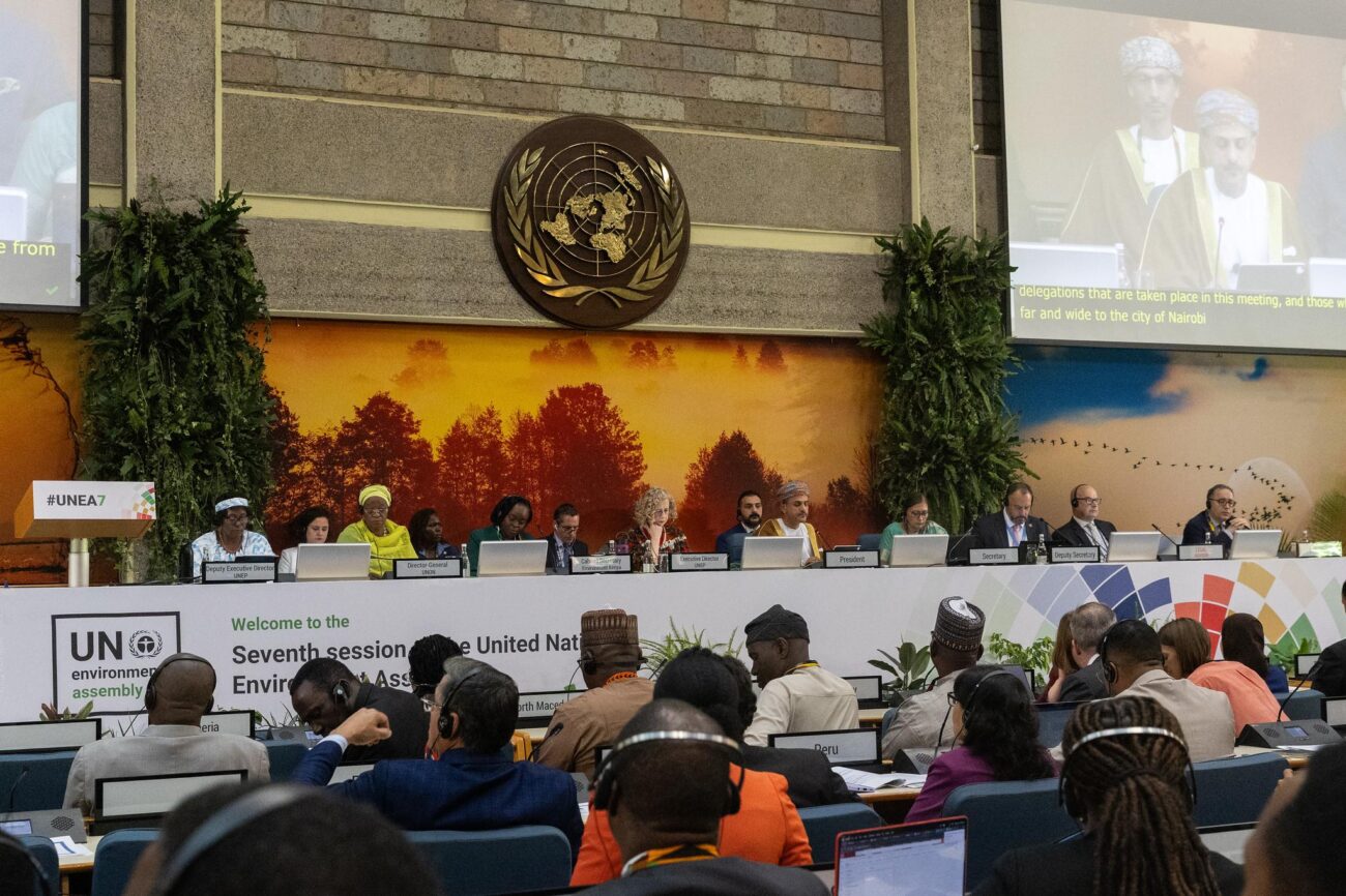 Resolusi Baru PBB Mendesak Negara-negara Anggota untuk Bertindak demi Konservasi Gletser – Keadaan Planet Bumi